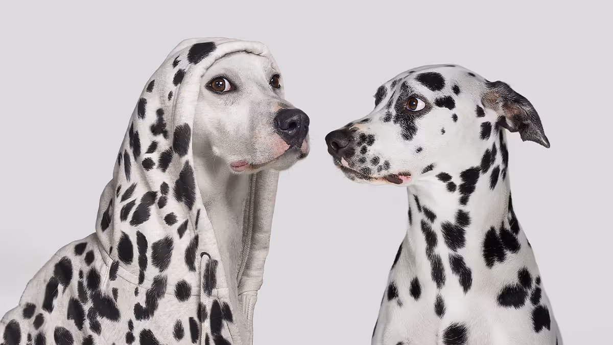 How Leaders Influence Boardrooms with Personal Brand By Executive Presence & Storytelling Coach Anand Munshi